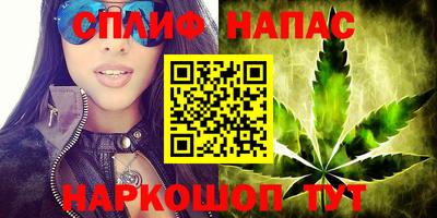 PSILOCYBIN Будённовск
